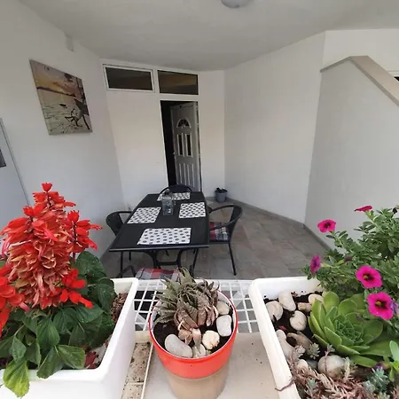 Lejlighed Luxury Oasis